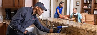 Best Residential Pest Control  in Ogden, IA